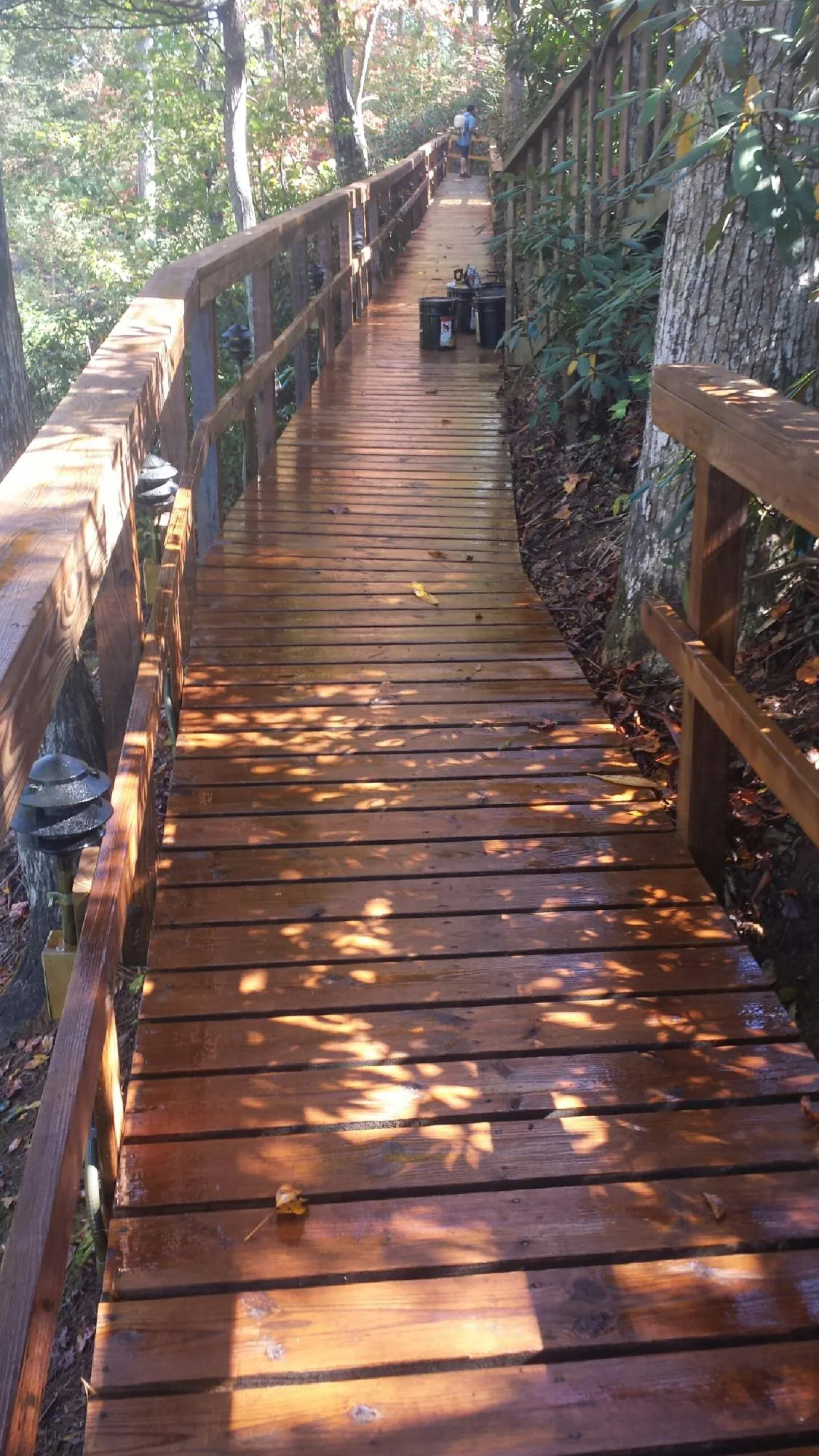 Freshly stained wood walkway winding through the woods in Edgemoor